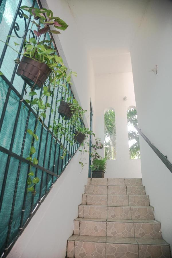 Navieros Rooms Bacalar Εξωτερικό φωτογραφία